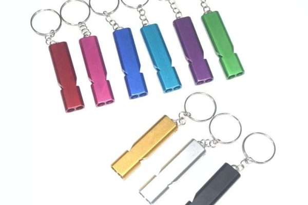 Custom Stainless Steel Keychain | Leon Gift