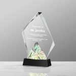 Custom Corporate Crystal Trophy | Leon Gift